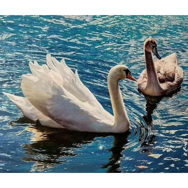 韓國畫家 油畫 白天鵝 價格可議價