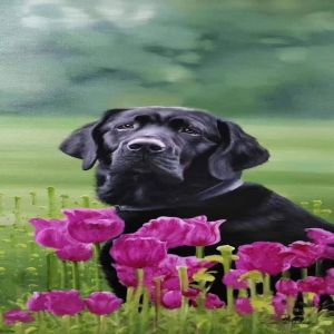 林群 油畫  黑狗