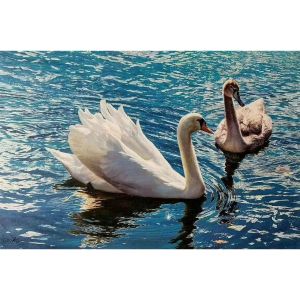 韓國畫家 油畫 白天鵝 價格可議價