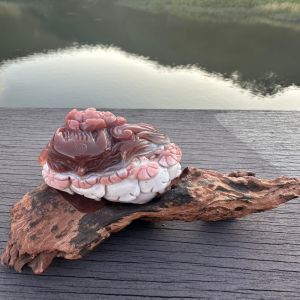 純手工雕 阿拉善 荷花睡狐 擺件 東北五仙 狐仙