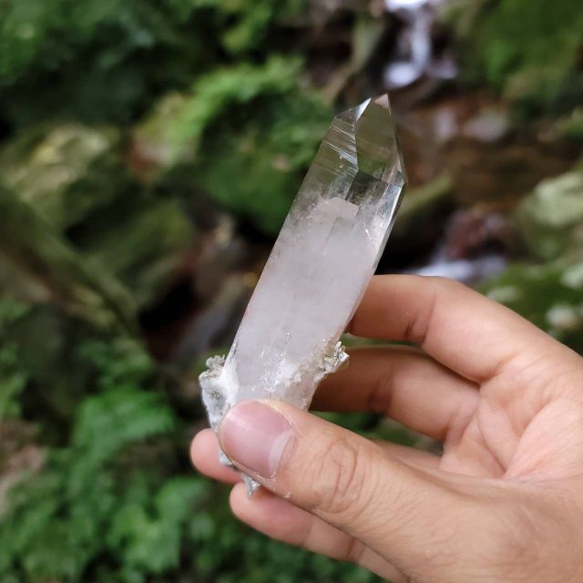 中國四川 雪寶頂 透亮 茶水晶 白水晶 亮皮水晶 石英 帶雲母