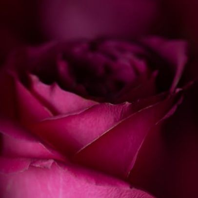 天然婚禮小物彌月禮盒