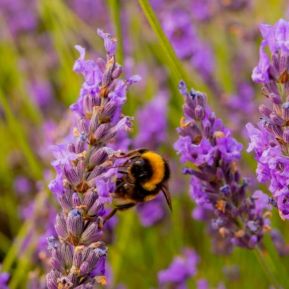 天然婚禮小物彌月禮盒