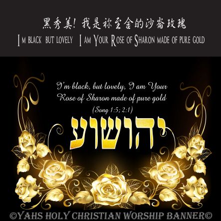 # 21黑秀美 我是隬至金的沙崙玫瑰 #先見旌旗