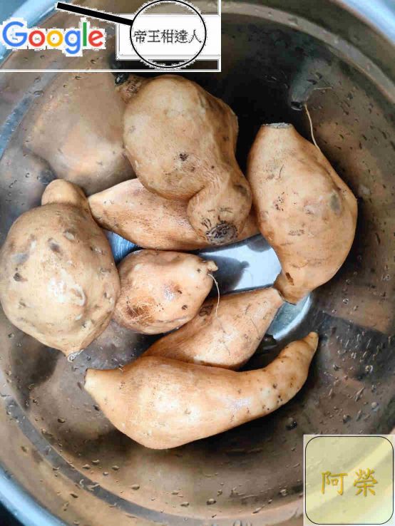 2024-2024收成不穩定，請先詢問再下標，台農57號，黃金薯，黃色地瓜，竹山林內一帶濁水溪種植收成，富涵微量原素而口感及香度會略顯不同。