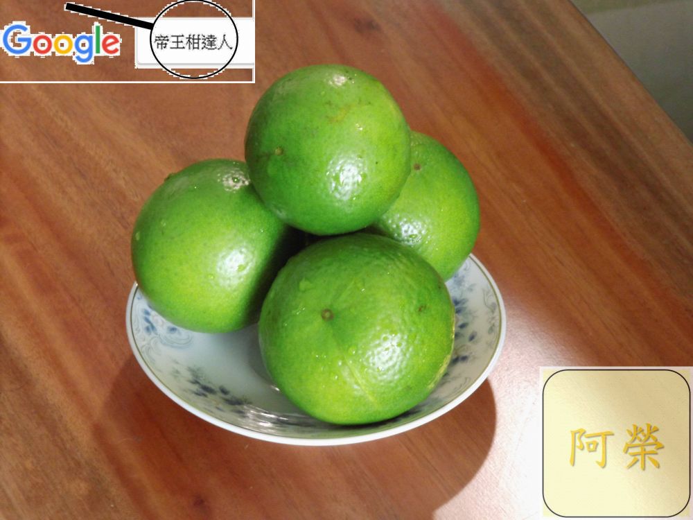 （產期己結束）極品帝王柑 （接受預訂大約11月中開始出貨依每年節氣狀況調整）