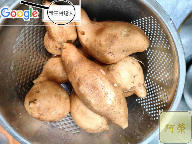 2024-2024收成不穩定，請先詢問再下標，台農57號，黃金薯，黃色地瓜，竹山林內一帶濁水溪種植收成，富涵微量原素而口感及香度會略顯不同。