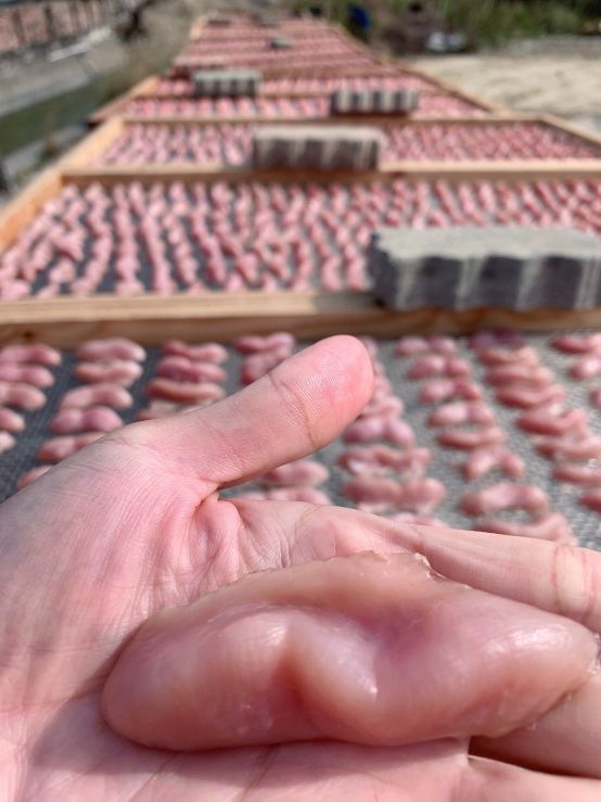 一口烏魚腱(大)16粒