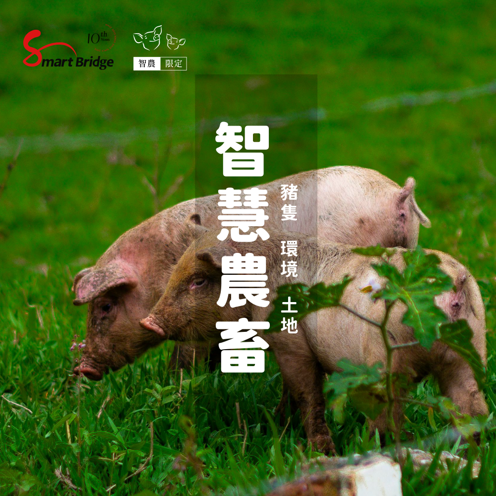 智慧農業 智慧畜牧 | 風向偵測感應器 (Wind Vane) (價格請電洽)