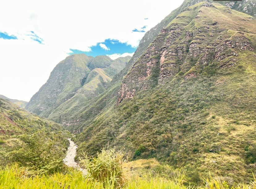 秘魯 皇冠Maha 帕卡馬拉 低溫水洗