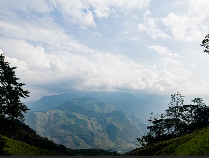 秘魯 皇冠Maha 帕卡馬拉 低溫水洗