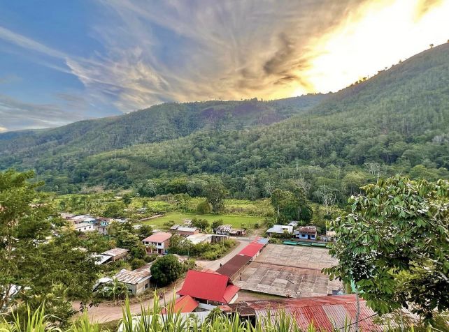 秘魯 皇冠Maha 帕卡馬拉 低溫水洗